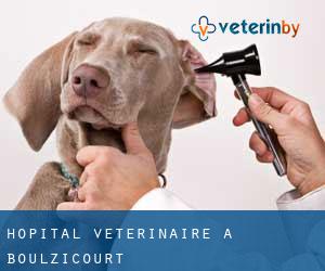 Hôpital vétérinaire à Boulzicourt
