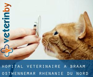 Hôpital vétérinaire à Braam-Ostwennemar (Rhénanie du Nord-Westphalie)
