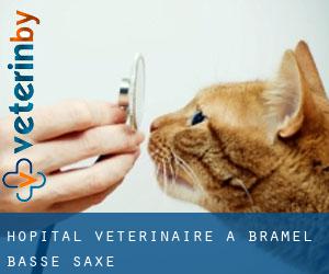 Hôpital vétérinaire à Bramel (Basse-Saxe)