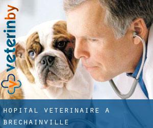Hôpital vétérinaire à Brechainville