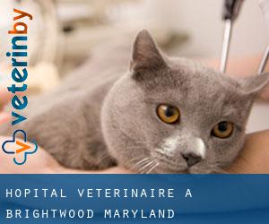 Hôpital vétérinaire à Brightwood (Maryland)