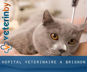 Hôpital vétérinaire à Brignon
