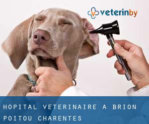 Hôpital vétérinaire à Brion (Poitou-Charentes)