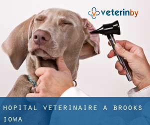 Hôpital vétérinaire à Brooks (Iowa)