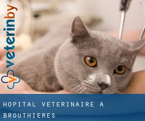Hôpital vétérinaire à Brouthières