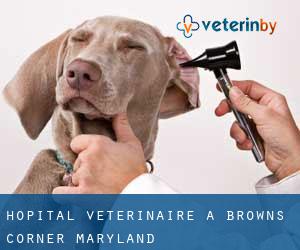 Hôpital vétérinaire à Browns Corner (Maryland)