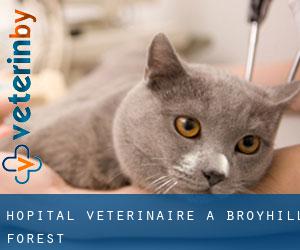 Hôpital vétérinaire à Broyhill Forest