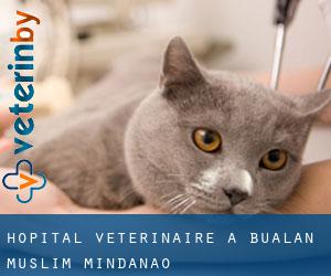 Hôpital vétérinaire à Bualan (Muslim Mindanao)