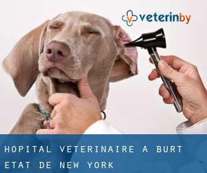 Hôpital vétérinaire à Burt (État de New York)