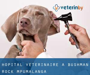 Hôpital vétérinaire à Bushman Rock (Mpumalanga)