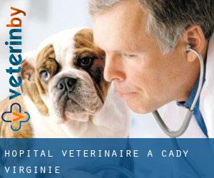 Hôpital vétérinaire à Cady (Virginie)