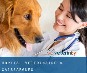 Hôpital vétérinaire à Caissargues