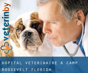 Hôpital vétérinaire à Camp Roosevelt (Florida)