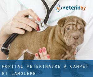 Hôpital vétérinaire à Campet-et-Lamolère
