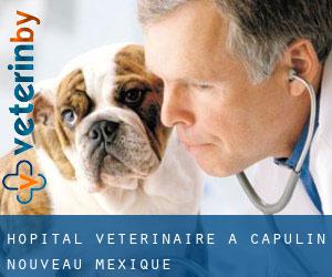 Hôpital vétérinaire à Capulin (Nouveau-Mexique)