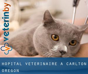 Hôpital vétérinaire à Carlton (Oregon)