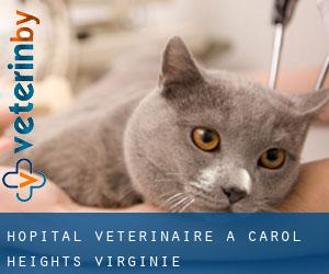 Hôpital vétérinaire à Carol Heights (Virginie)