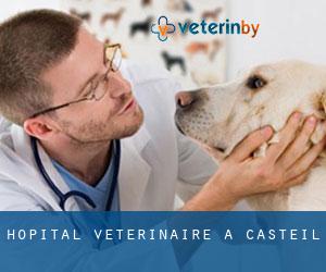 Hôpital vétérinaire à Casteil