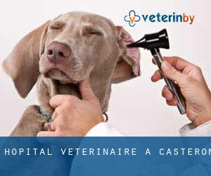 Hôpital vétérinaire à Castéron