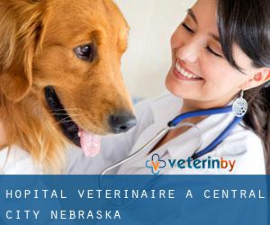 Hôpital vétérinaire à Central City (Nebraska)