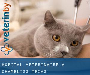 Hôpital vétérinaire à Chambliss (Texas)