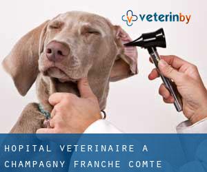 Hôpital vétérinaire à Champagny (Franche-Comté)