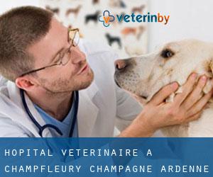 Hôpital vétérinaire à Champfleury (Champagne-Ardenne)