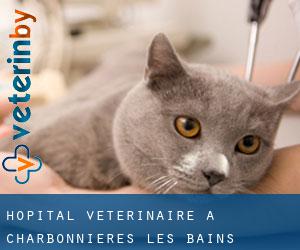 Hôpital vétérinaire à Charbonnières-les-Bains