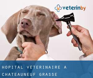 Hôpital vétérinaire à Châteauneuf-Grasse