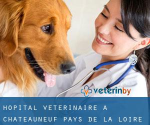 Hôpital vétérinaire à Châteauneuf (Pays de la Loire)