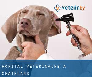 Hôpital vétérinaire à Châtelans