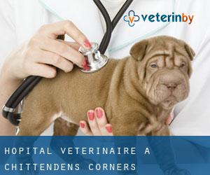 Hôpital vétérinaire à Chittendens Corners