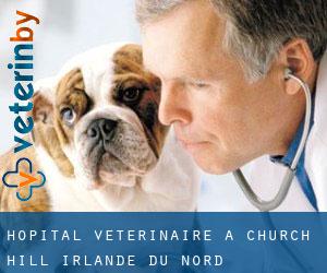 Hôpital vétérinaire à Church Hill (Irlande du Nord)