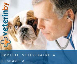 Hôpital vétérinaire à Cisownica