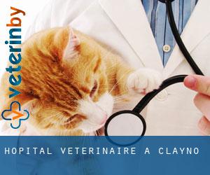 Hôpital vétérinaire à Clayno