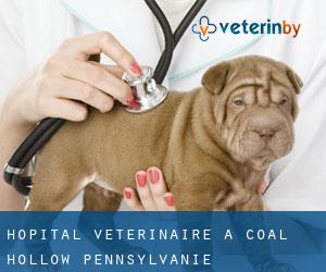 Hôpital vétérinaire à Coal Hollow (Pennsylvanie)