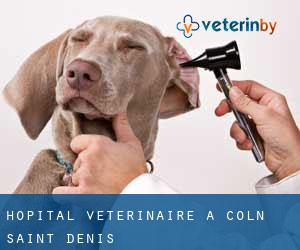 Hôpital vétérinaire à Coln Saint Denis
