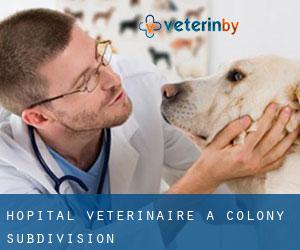Hôpital vétérinaire à Colony Subdivision
