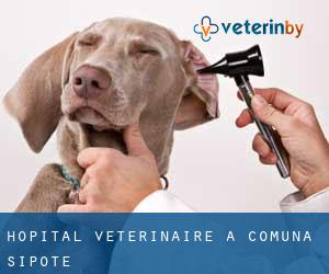 Hôpital vétérinaire à Comuna Şipote