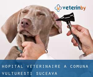 Hôpital vétérinaire à Comuna Vultureşti (Suceava)