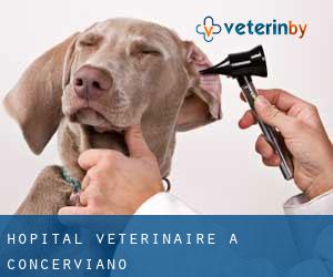 Hôpital vétérinaire à Concerviano