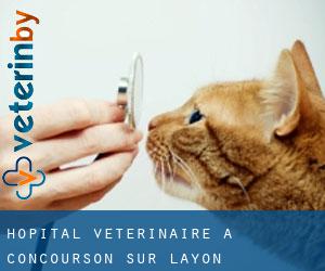 Hôpital vétérinaire à Concourson-sur-Layon