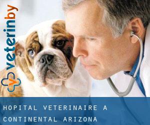 Hôpital vétérinaire à Continental (Arizona)