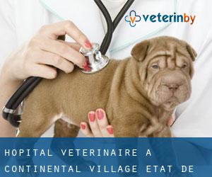 Hôpital vétérinaire à Continental Village (État de New York)