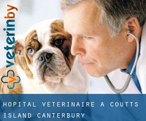 Hôpital vétérinaire à Coutts Island (Canterbury)