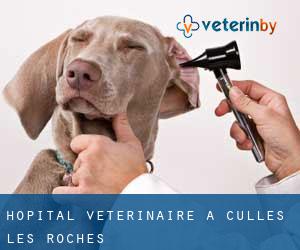 Hôpital vétérinaire à Culles-les-Roches