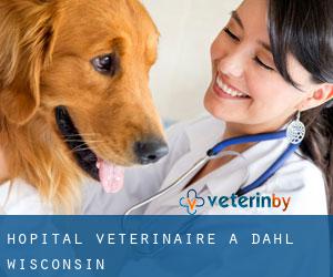 Hôpital vétérinaire à Dahl (Wisconsin)