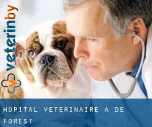 Hôpital vétérinaire à De Forest