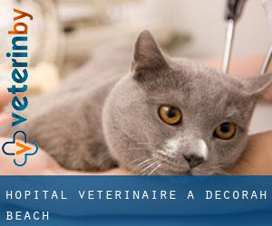 Hôpital vétérinaire à Decorah Beach