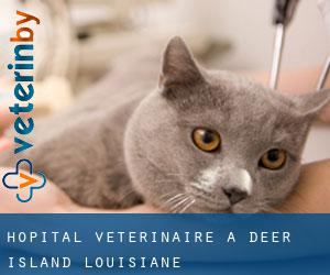 Hôpital vétérinaire à Deer Island (Louisiane)